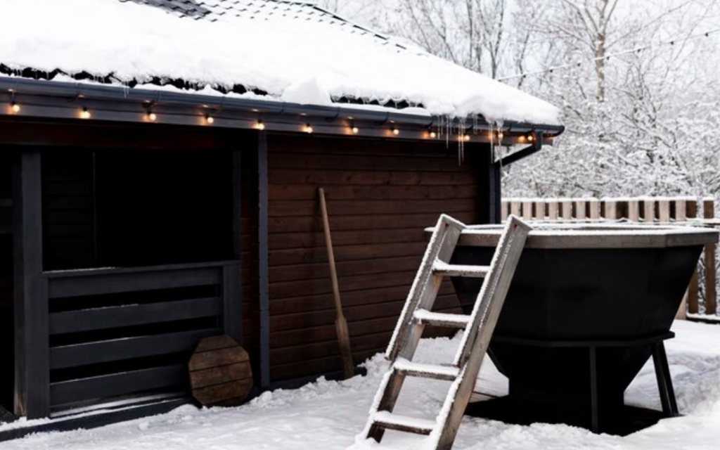 Snow Guard